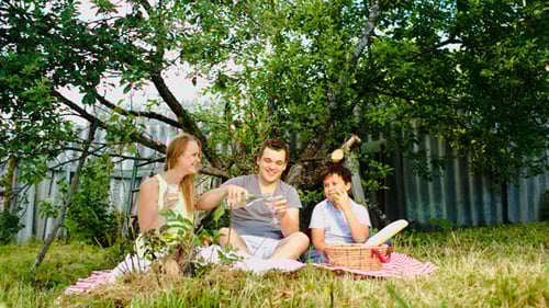 Family Picnic Together on Grassy Lawn in Sunny Yard