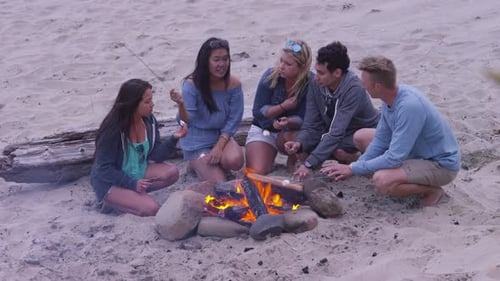 Group of friends at beach hanging out by campfire and roasting marshmallows