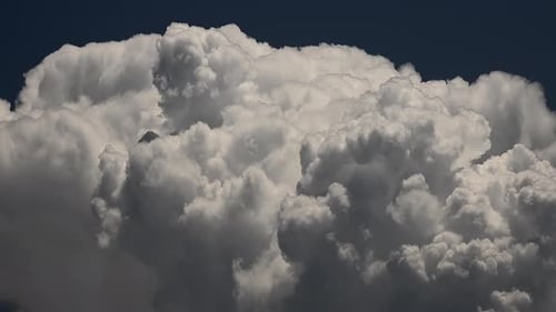 Billowing Cumulus Clouds Drifting in a Blue Sky