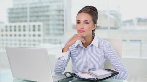 Young Businesswoman Planning With Laptop And Diary