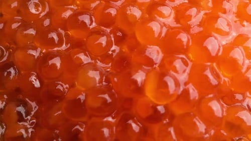 Close-up Salmon Caviar Panoramic. Delicatessen. Seafood