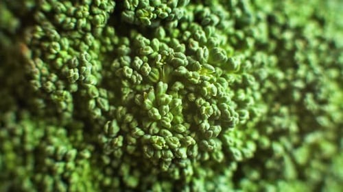 Green broccoli floret, macro close up slider shot