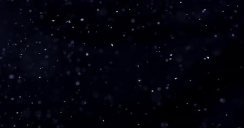 Schnee 21
