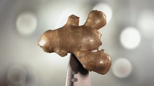 Ginger Falling Down on Knife Stuck