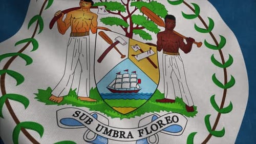 Belize National Flag Waving With Realistic Fabric Texture Seamless Loop