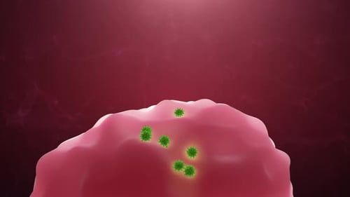 3D Animation of Viruses Attacking a Cell