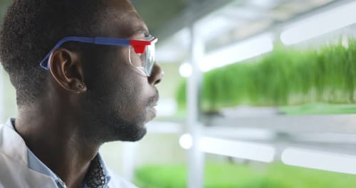 Young Adult Scientist Examining Plants in Lab