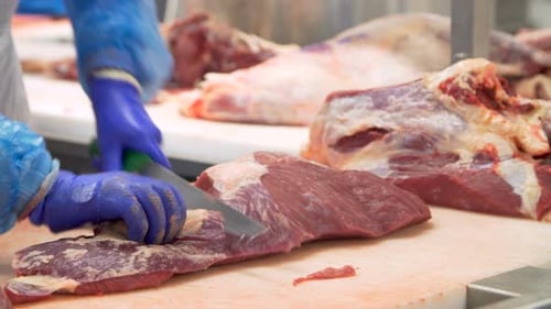 Person Trimming Meat with Knife in Food Processing Plant