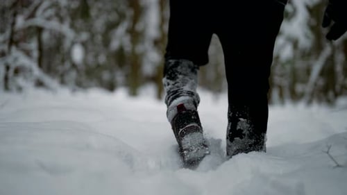 Man is Walking Over Snow in Winter Woodland Rear View of Forester in Black Clothes Weekend Trip