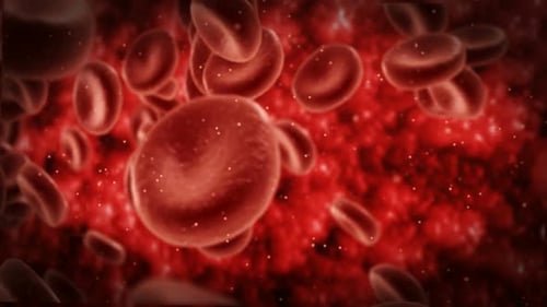 Células sanguíneas