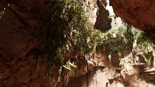 Large Fairy Rocky Cave with Green Plants