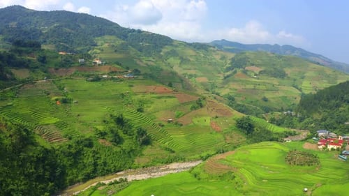 Aerial top view of paddy rice terraces, green agricultural fields in Vietnam.
