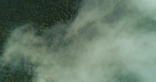 A Shot of a Forest Road and Forest From the Air Through a Thick Fog