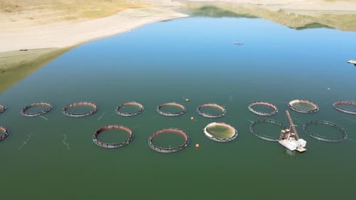 Fish Breeding Farm