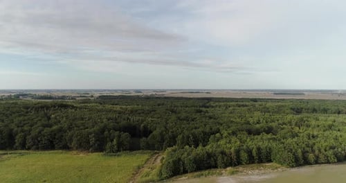 Aerial View of Agricultural Fields and Forest