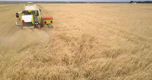 Aerial View Machine Grabs Wheat with Rakes Against Horizon