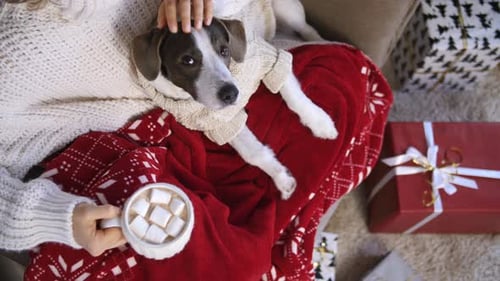 Person and Dog Celebrate Christmas Indoors