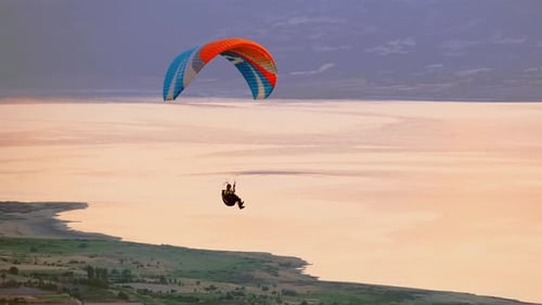 Freedom