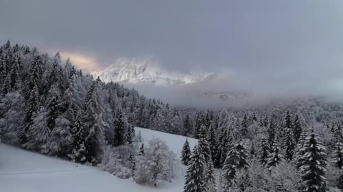 Flying over a winter landscape