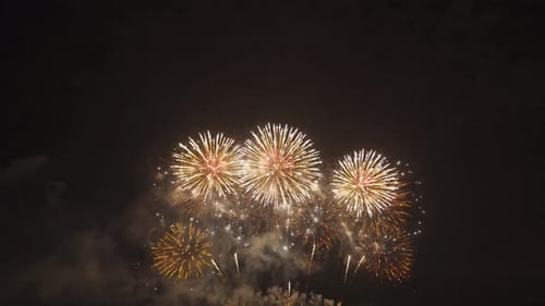 International fireworks festival display at night. Variety of colorful fireworks in holidays