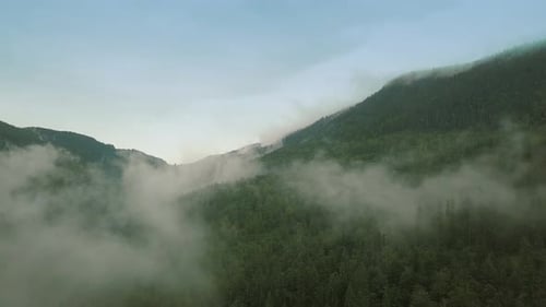 Mystic and Foggy Drone Flight Over the Rainforest in Mountain