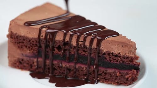 Chocolate Cake Slice with Dark Chocolate Sauce