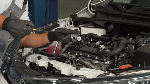 Professional Mechanic Checking Oil Level and Engine of a Car