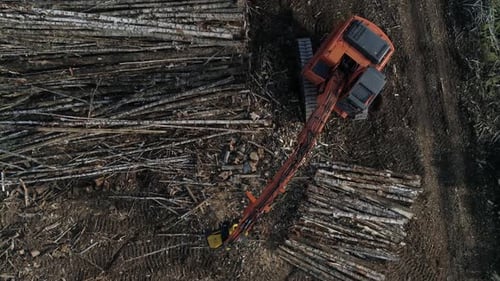 Aerial view of Harvester Cutting Tree Trunk in field near the forest 09