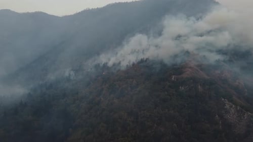 Fire in the forest aerial view. Cinematic aerial shot fire in the forest.