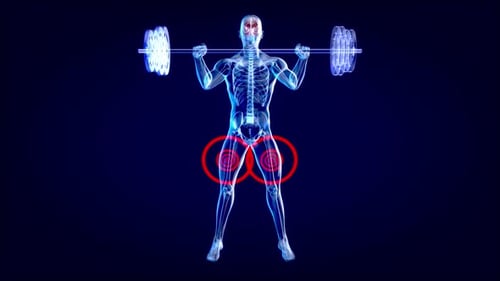 Futuristic Holographic Anatomy of Squats with Barbell