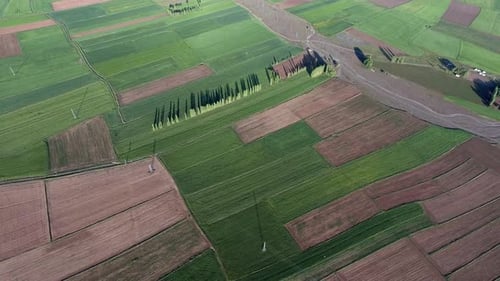 Poplar Trees and Green Fields on Flat Plain in Soft Geography