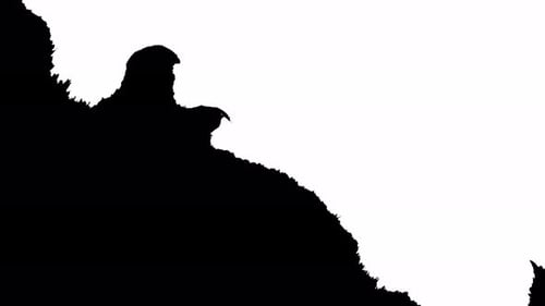 Black Texture Transition on White Background