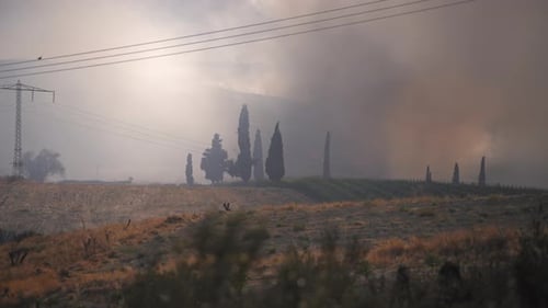 Wildfire spreading next to a grass field
