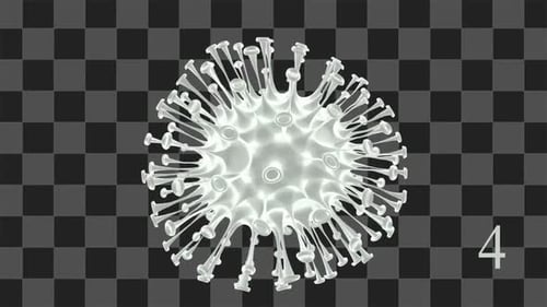 Virus Vier Farben