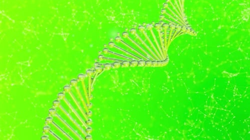 Dna Plexus