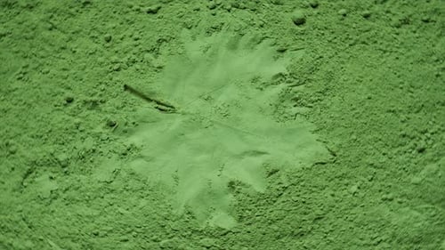 Leaf Print in Green Powder