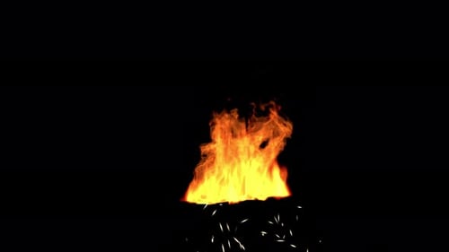 Realistic Burning Fire with Ember Sparks Animation