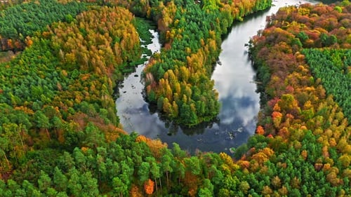 Winding river and colorful forest in autumn.