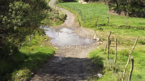 Dirt Road Winds Through Green Rural Landscape