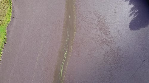 Drying Up the Lake and Ephemeral River Oozy Mud