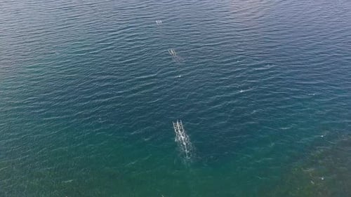 Aerial Tracking Shot of a Motorboat Moving Fast in the Sea on Summer Day
