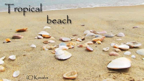Sea Beach