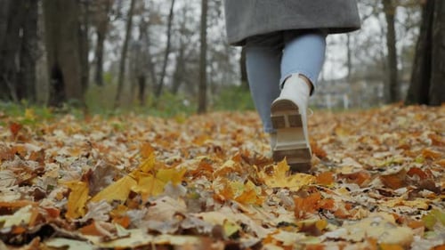 Unrecognizable Woman Walking in the Forest on Yellow Foliage Closeup View
