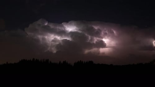 Lightning Flashes Behind Silhouette of Trees at Night