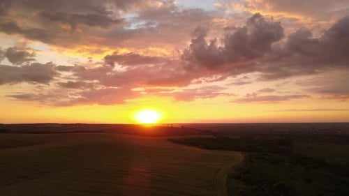 Aerial Landscape View of Yellow Cultivated Agricultural Field with Ripe Wheat on Vibrant Summer