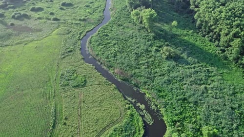 River and Green Fields in Countryside