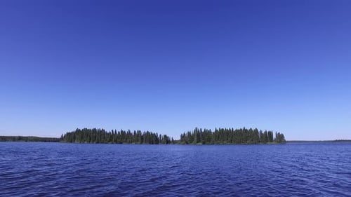 Fir tree forest seen from lake