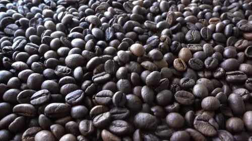 Roasted Coffee Beans