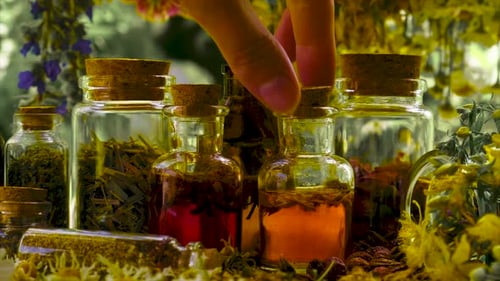 Herbal Remedies and Infused Oils in Glass Jars