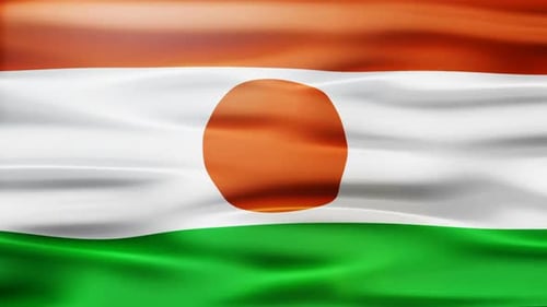 Waving Flag of Niger Seamless Loop